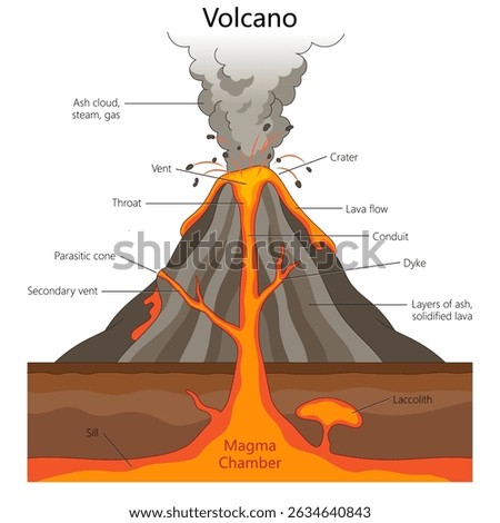 Educational illustration of a volcano showing labeled parts including magma chamber, lava flow hand drawn schematic vector illustration. Science educational illustration