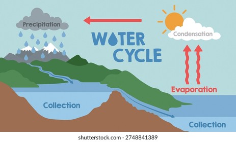 Educational illustration of the water cycle showing evaporation, condensation, precipitation, and collection. Diagram explains how water circulates through the environment with sun, clouds, mountains, rivers, and ocean. Ideal for science education, geography lessons, and environmental studies.