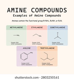 Educational infographic set of amine compounds including methylamine, ethylamine, dimethylamine, aniline, and triethylamine. Features molecular structures, formulas, and IUPAC names for chemistry education.
