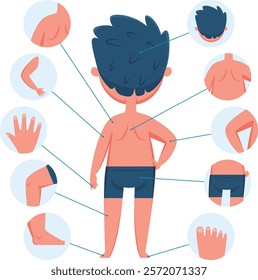 Educational infographic showing different body parts of a boy, including head, shoulder, arm, back, hand, leg, knee and foot, useful for teaching anatomy to children