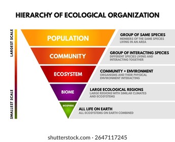 Educational infographic showing the hierarchy of ecological organization in biology. Includes labeled pyramid levels from population to biosphere with definitions