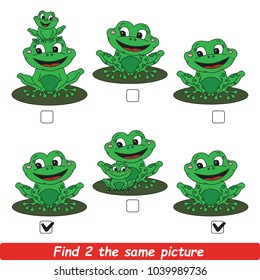 The Educational Kid Matching Game For Preschool Kids With Easy Gaming Level, The Task Is To Find Similar Objects, To Compare Items And Find Two Same Beautiful Frog