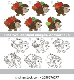 The educational kid matching game for preschool kids with easy gaming level, the task is to find similar objects, to compare items and find two same Autumn Hedgehogs