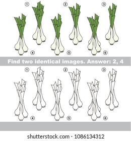 The educational kid matching game for preschool kids with easy gaming level, the task is to find similar objects, to compare items and find two same Leek Onion