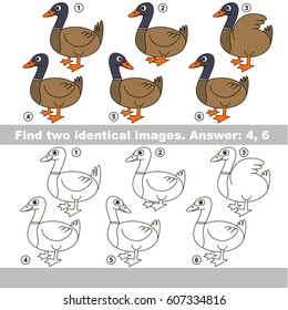 The educational kid matching game for preschool kids with easy gaming level, he task is to find similar objects, to compare items and find two same Ducklings.