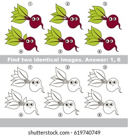 The educational kid matching game for preschool kids with easy gaming level, he task is to find similar objects, to compare items and find two same Beets