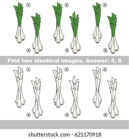The educational kid matching game for preschool kids with easy gaming level, he task is to find similar objects, to compare items and find two same Green Leek Onion