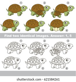 The educational kid matching game for preschool kids with easy gaming level, he task is to find similar objects, to compare items and find two same Turtle
