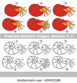 The educational kid matching game for preschool kids with easy gaming level, he task is to find similar objects, to compare items and find two same Red Nautiluses