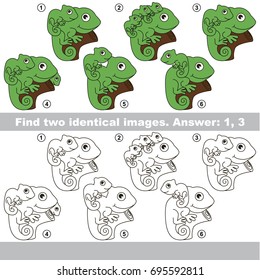 The educational kid matching game for preschool kids with easy gaming level, he task is to find similar objects, to compare items and find two same Mom and her Baby Green Iguana