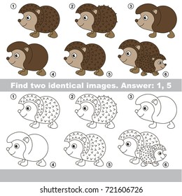 The educational kid matching game for preschool kids with easy gaming level, he task is to find similar objects, to compare items and find two same Hedgehogs
