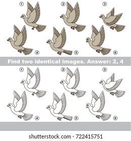 The educational kid matching game for preschool kids with easy gaming level, he task is to find similar objects, to compare items and find two same Pigeons