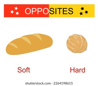 Educational material for kids opposites words: soft and hard. Vector illustrations of loaf and walnut. 