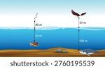 Educational math illustration showing depth and altitude with sea level, mountains, and animals for school children.
