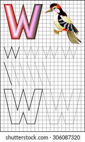 Educational page with alphabet letter W on a square paper. Developing skills for writing and drawing. Vector image.
