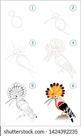 Educational page for kids. How to draw step by step a cute hoopoe. Back to school. Developing children skills for drawing and coloring. Printable worksheet for baby book. Vector cartoon image.