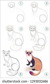 Educational page for kids shows how to learn step by step to draw a cute ferret. Back to school. Developing children skills for drawing and coloring. Vector cartoon image.