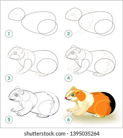 Educational page for kids shows how to learn step by step to draw a cute guinea pig. Back to school. Developing children skills for drawing and coloring. Vector cartoon image.