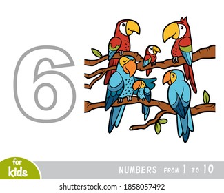 Educational poster for children about numbers. Digit six, six parrots. Vector cartoon illustration. Learning counts for preschoolers