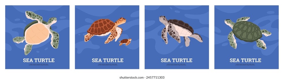 Educational sea turtle poster set. Vector illustrations with various turtle species in an ocean setting, suitable for learning materials and decor.