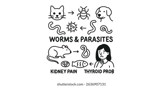  educational set about harmful bacteria