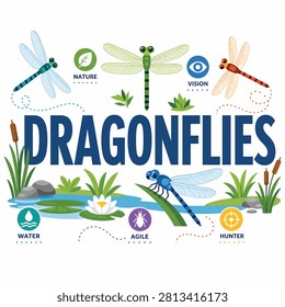 Educational vector art showing dragonflies near water plants and sky