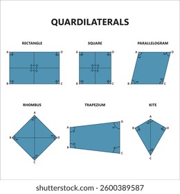  Educational vector featuring different quadrilaterals for math learning, geometry diagrams, and classroom materials.