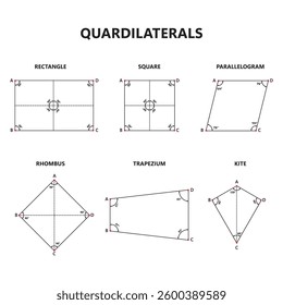  Educational vector featuring different quadrilaterals for math learning, geometry diagrams, and classroom materials.