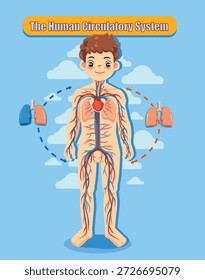 Ilustración vectorial educativa del sistema circulatorio humano que muestra el corazón, las arterias, las venas y el flujo sanguíneo en todo el cuerpo. Estilo lindo de la historieta con la anatomía clara, ideal para las lecciones de la biología, la educación médica, las infografías de la atención sanitaria, y los materiales de aprendizaje de los niños.