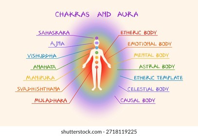 Ilustração vetorial educacional mostrando 7 chakras e camadas de aura em uma silhueta humana. Etiquetas detalhadas com fonte desenhada à mão. Ideal para ioga, meditação e artes de cura.