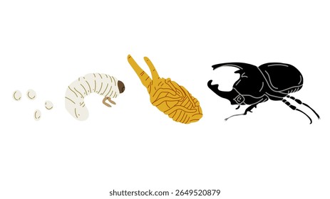 Ilustração vetorial educacional mostrando o ciclo de vida de um besouro rinoceronte, incluindo estágios de ovos, larva, pupa a besouro adulto. Ideal para materiais de aprendizagem de biologia, infográficos com temas de insetos