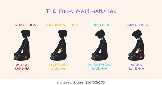 Educational vector infographic showcasing 4 main bandhas practicing in yoga. Set on plain backdrop, each bandha located within human body and doubled in English and Sanskrit color coded text.