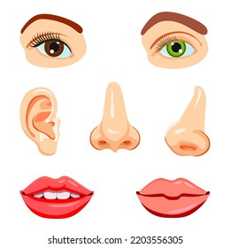 Educational vector set, parts of the face: eyes, nose, mouth, ear