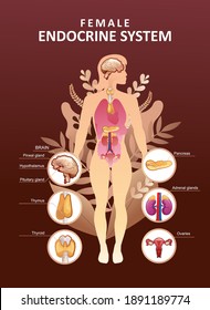 Educational vertical poster for endocrine system or training vector illustration body in plant leaves concept of microflora and health of human internal organs