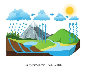 Educational water cycle diagram showing evaporation condensation precipitation groundwater and surface water flow in a natural landscape