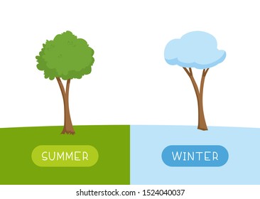 Educational word card with antonym examples template. Flashcard for english language studying. Seasons concept, summer and winter. Trees with leaves and snow flat vector illustration with typography
