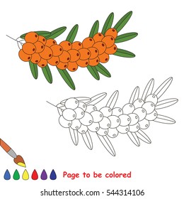 Educational worksheet to be colored by sample. Easy educational paint game for preschool kids. Simple kid coloring page with Buckthorn