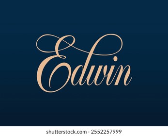 Edwin Signature Diseño de Logo, Elegante Edwin Nombre Logo, Edwin Nombre Signature Logo Diseño de Vector