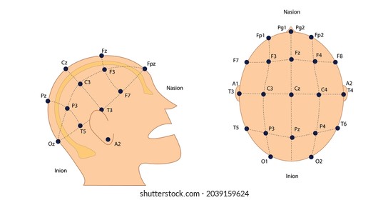 EEG (electroencephalography) Electrodes placement International System 10-20. 