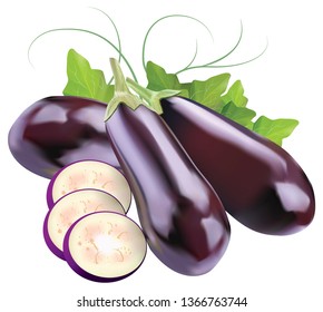 Eegplant Terong Vegetable