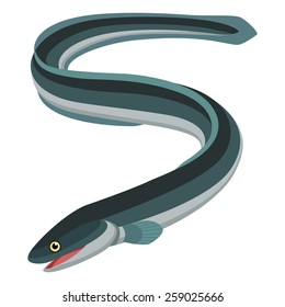 Eel