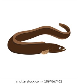 Eel For Animal Vector Illustration