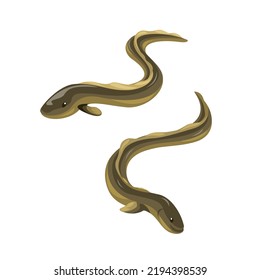 eel fish animal character set illustration vector