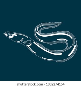 Eel fish. Hand drawn stock vector illustration.