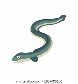 Eel fish. Vector illustration isolated on white background.