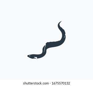 Eel icon isolated on clean background. Eel icon concept drawing icon in modern style. Vector illustration for your web mobile logo app UI design.