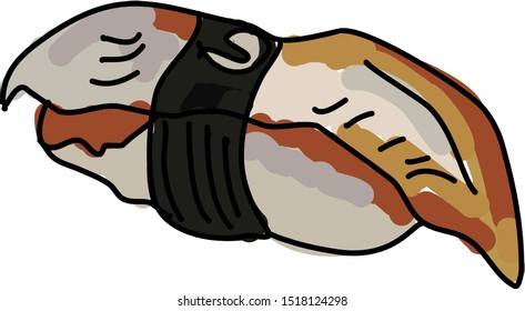 Eel, illustration, vector on white background.