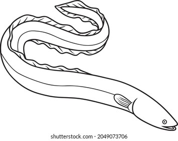 eel line vector illustration isolated on white background