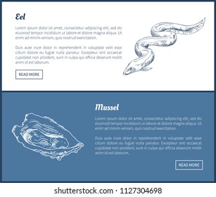 Eel and mussel seafood set double color graphic. Hand drawn decorative icons of ocean mollusk and fish restaurant menu vector vintage template sketch.