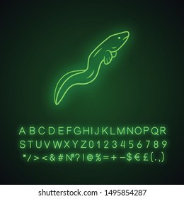 Eel neon light icon. Floating snakelike fish. Underwater animal. Asian seafood, sushi ingredient. Snake shape creature. Glowing sign with alphabet, numbers and symbols. Vector isolated illustration